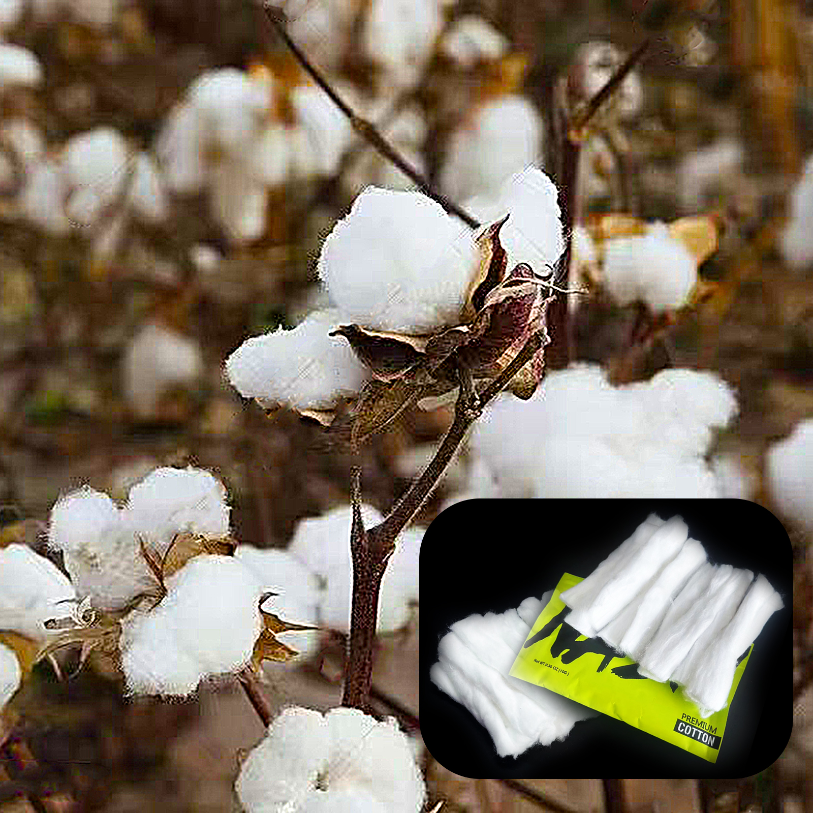 10/5/3Packs Home DIY Natural C - огляд і ціна Cotton Wick Organic